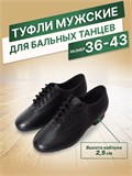 Туфли танцевальные обувь для бальных танцев латина Lat-manmatte2-black